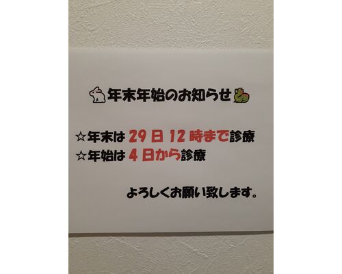 20231205_163152
