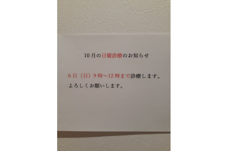 20241001_174804