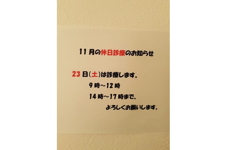20241121_150551