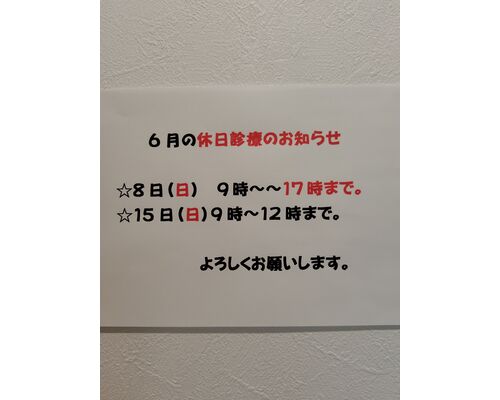 250602144731656