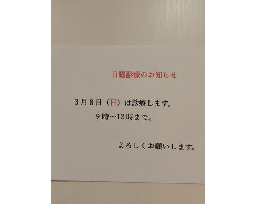 260303171916950