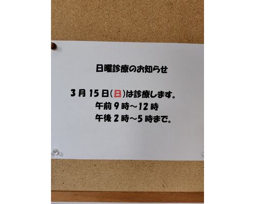 260311162437941