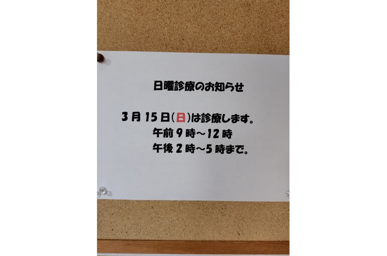 260311162437941