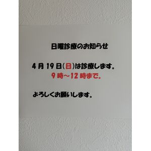 260416151032809
