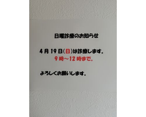 260416151032809