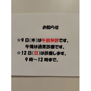 260706172415804