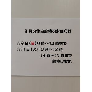 260805115846920