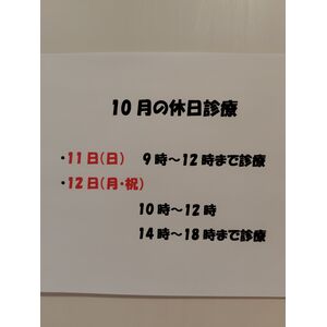 261007162323164