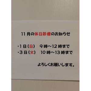 261027161925760