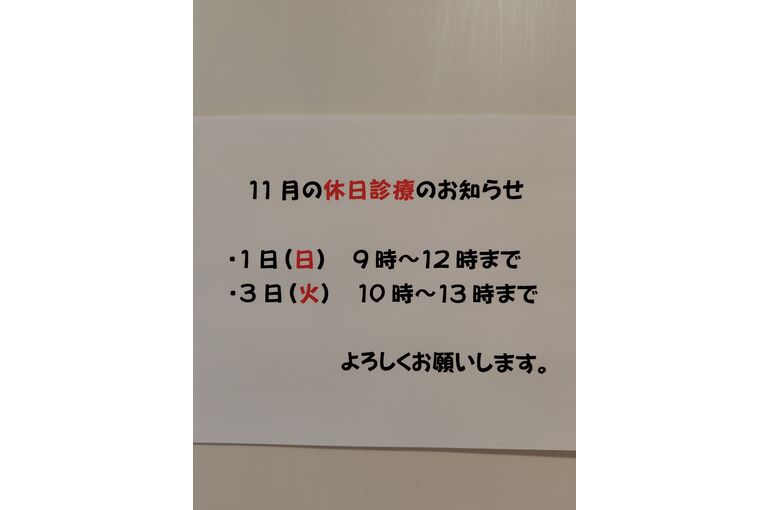 261027161925760