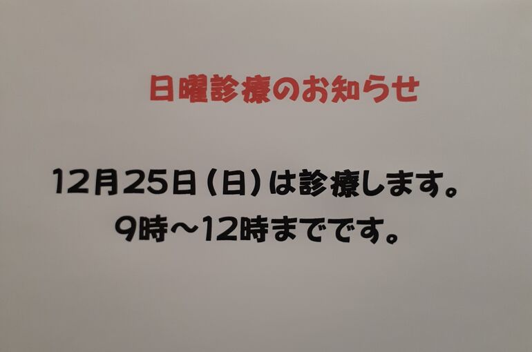 20221208_110834