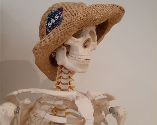 IMG_20230517_145024_099